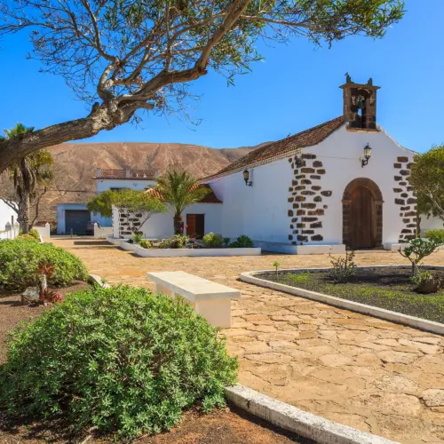 iStock-675741120la oliva_result